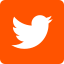 A white twitter logo at the footer of an orange square.