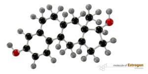 estrogen
